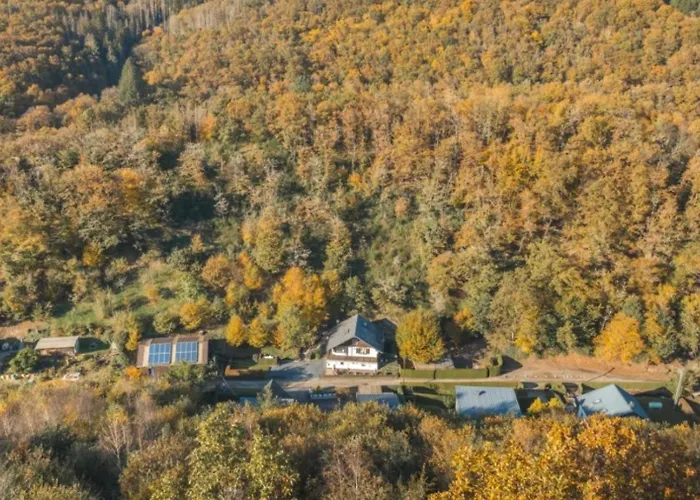 High Chapparal Dirbach